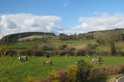 A view of the country setting for the kennels at Beeches Brook.